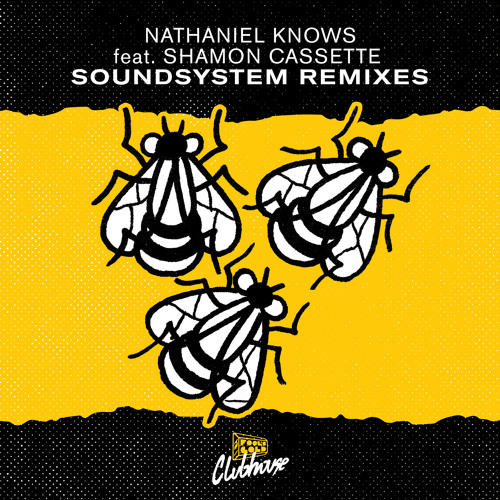 Nathaniel Knows - Soundsystem feat. Shamon Cassette (Subsurge Remix)