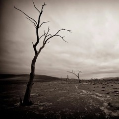 Fused Forces - Desolation