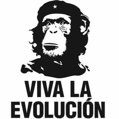 Noun - Evolution