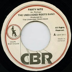Party Night - Undivided Roots