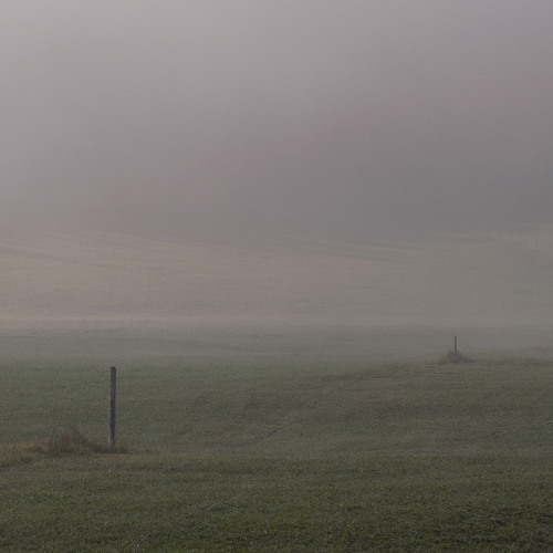 Open Fields