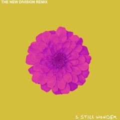 The Chain Gang Of 1974 - I Still Wonder (The New Division Remix)