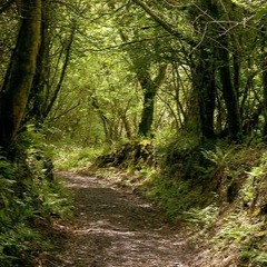 The Lonely Road