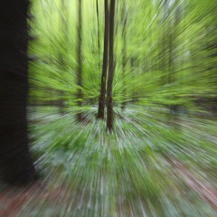 Nscblt - Forest Dark Psy Trance