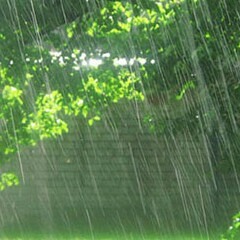 Embrace Your Role As A Raindrop.mp3