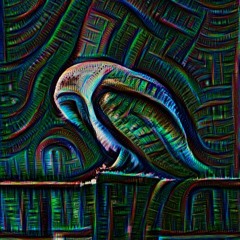 surreal thoughts