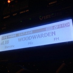WoodWarden Live extract 30min