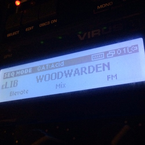 WoodWarden Live extract 30min