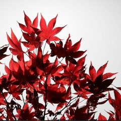 Jeff Dodson - Silent Steps