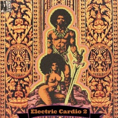 Electric Cardio 2