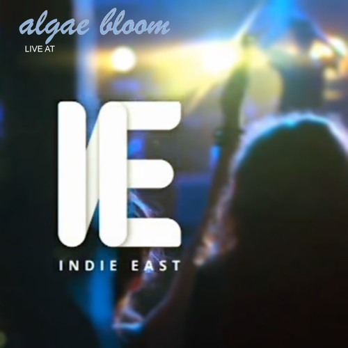 Algae Bloom - Thorns