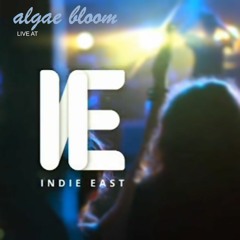 Algae Bloom - Bed Springs