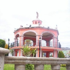 El Zacatecano~Los Ligeros De Zacatecas