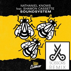 Nathaniel Knows - Soundsystem Feat. Shamon Cassette (Scissors Remix)