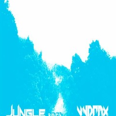 Jungle Rock ( original mix )