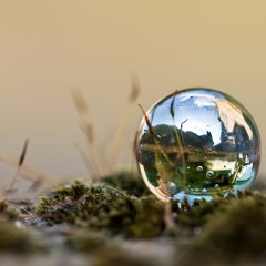 ProtoTekk - In deiner kleinen Welt