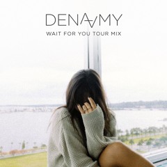 Dena Amy - Wait For You Tour Mix