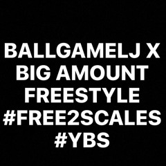 BIG AMOUNT FREESTYLE