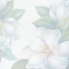 Till' I See You Again - JRob