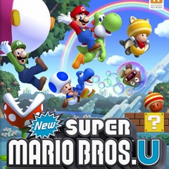 New Super Mario Bros Castle Cover