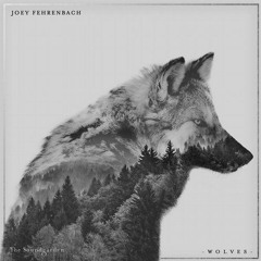 Joey Fehrenbach - Wolves (Nick Warren Tripswitch Remix)