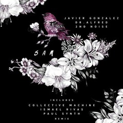 2nd Noise , Dr Alfred - Sam (Paul Synth Rmx)