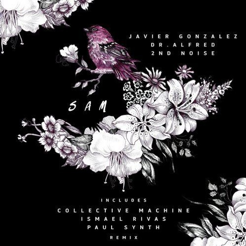 2nd Noise , Dr Alfred - Sam (Paul Synth Rmx)