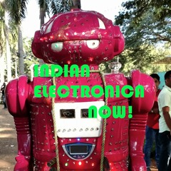 Indian Electronic Now!