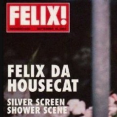 Felix Da Housecat - Silver Screen Shower Scene (Thin White Duke Remix)