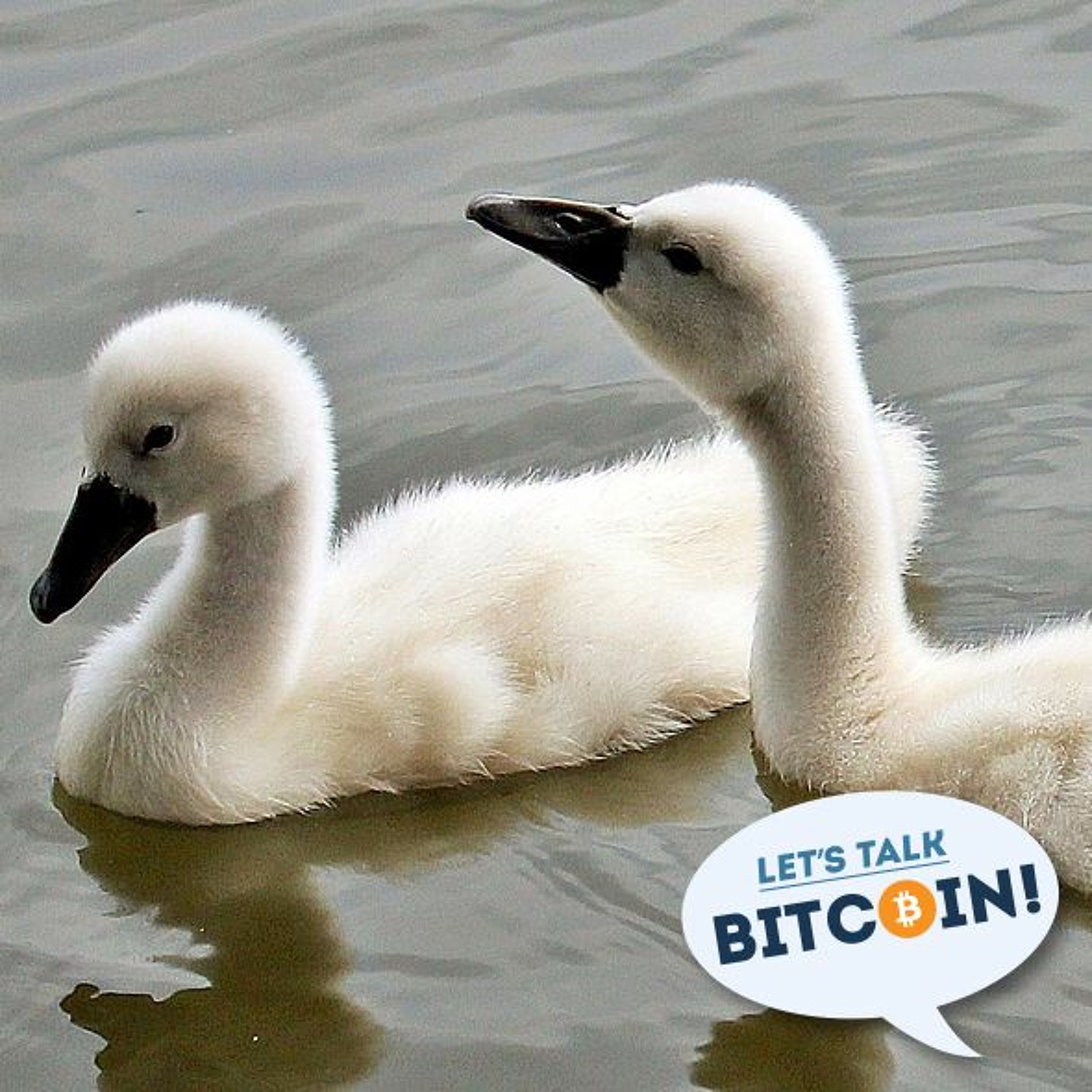 LTB #311 - Anti-Fragility and Evolving Expectations