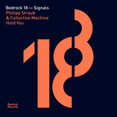 Philipp Straub & Collective Machine - Hold You In The Moment (Original Mix) Bedrock Records SNIPPET