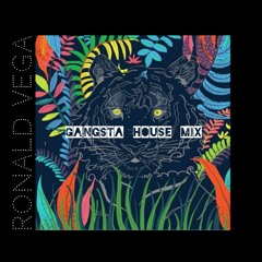 Ronald Vega - Gangsta House Mix