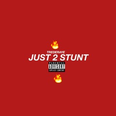 JUST 2 STUNT