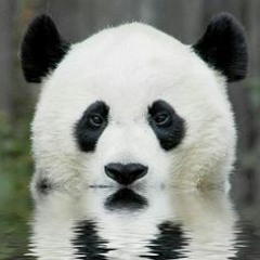 Memories Of A Dream - Enrique Valero