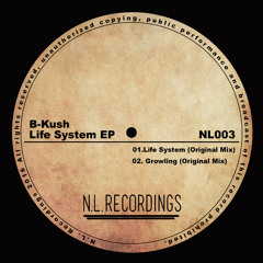 B - Kush -  Life System (Original Mix)