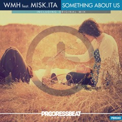 WMH feat. misk.ita - Something About Us (Original Mix)