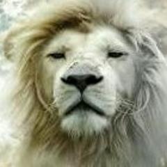 1-05 I said shutup.m4a