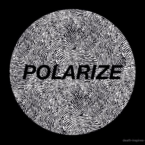 Polarize Concert Version