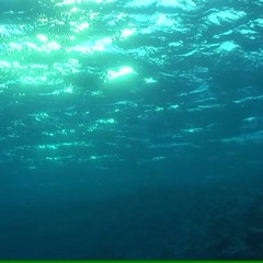 I Killed A Part Of Me Demo