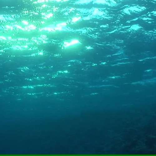 I Killed A Part Of Me Demo