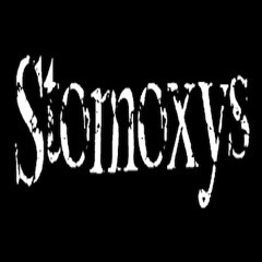 Stomoxys - Kara Kara