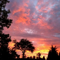 2015 NB Festival Night Kirtan - Thakura