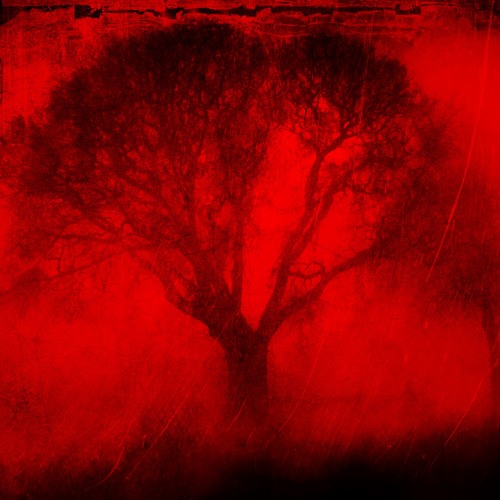 Stream Funeral Fornication - A Song Of Despair by Jaron Evil | Listen ...