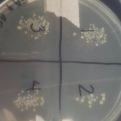 Friendshow Podcast 01