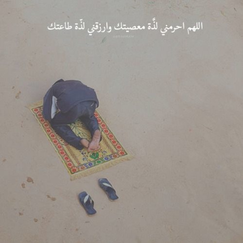 مؤثر الشيخ صالح المغامسي - لقاء الله