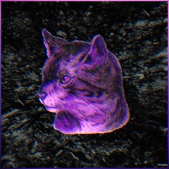 One Damn Thing Over & Over