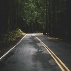 Run Wild (Prod. Jonas Bonnetta)