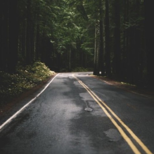Run Wild (Prod. Jonas Bonnetta)