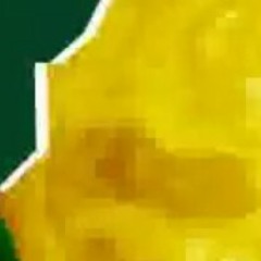 I'm a Rappaolik on a ((- Noctur☆Beats -)) .  .