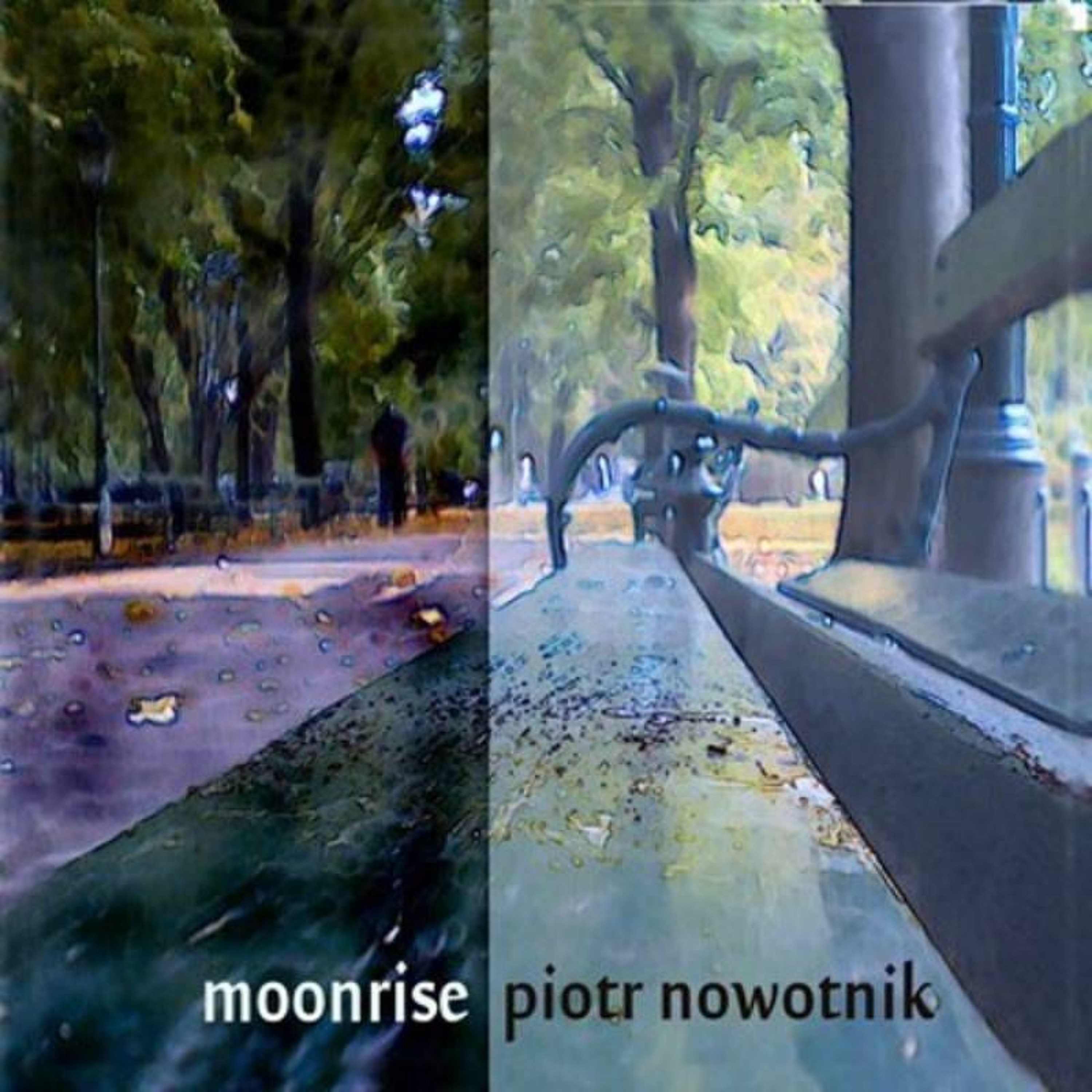 Piotr Nowotnik